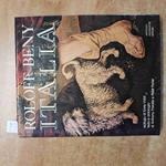 ROLOFF BENY ITALIA gore vidal 1975 MONDADORI illustrato IDEA REGALO!