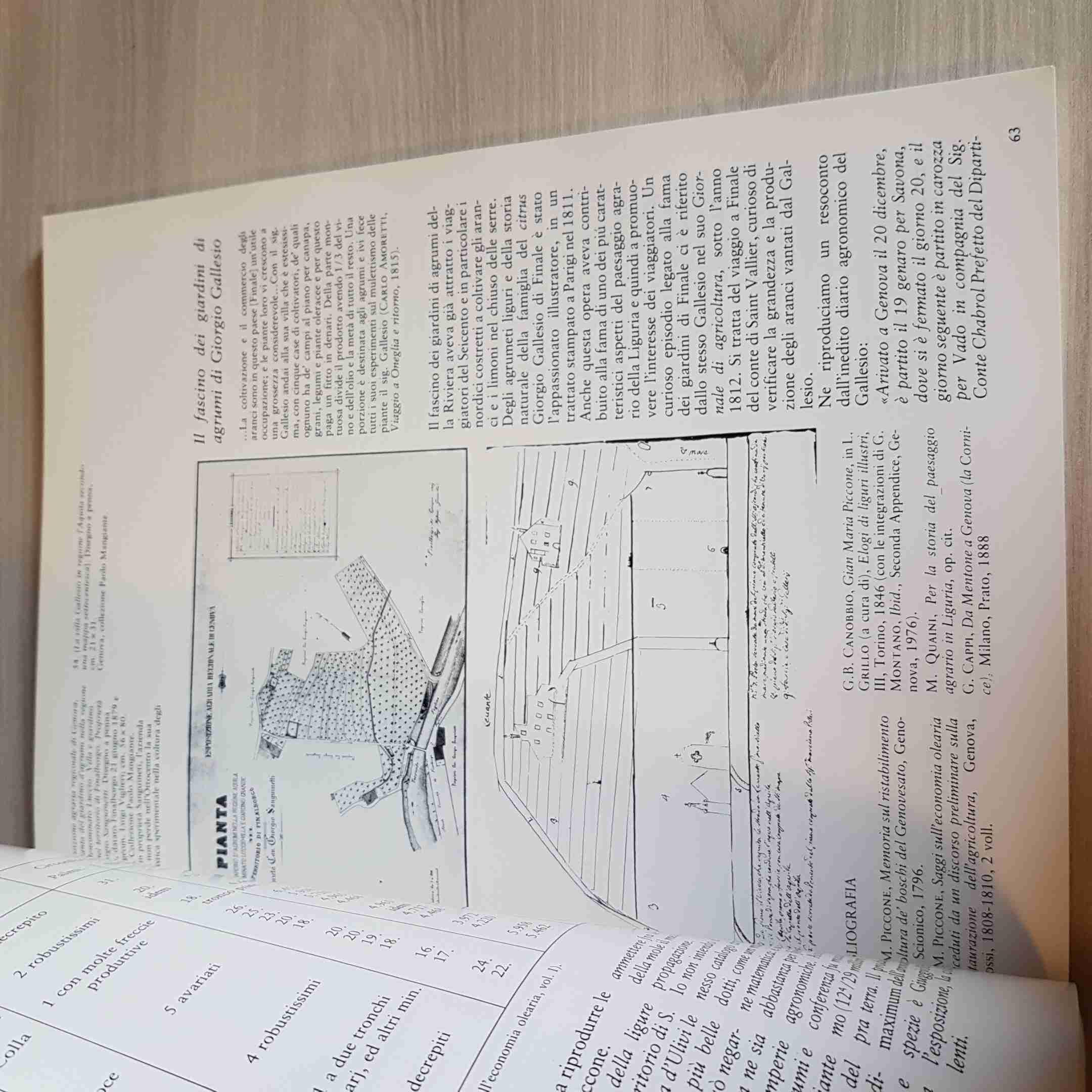 Scoperta Della Riviera - Astengo, Duretto - Sagep - 1982