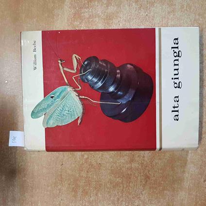 ALTA GIUNGLA William Beebe 1956 ALDO MARTELLO illustrato JUNGLA VENEZUELA - William Beebe - copertina