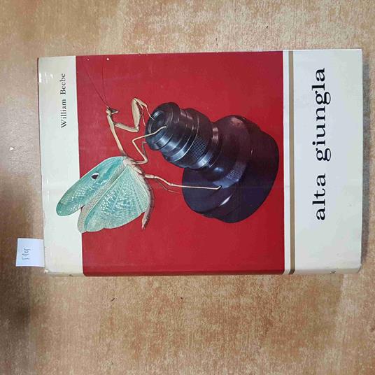 ALTA GIUNGLA William Beebe 1956 ALDO MARTELLO illustrato JUNGLA VENEZUELA - William Beebe - copertina