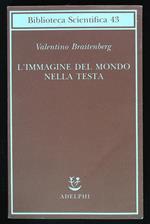 L' immagine del mondo nella testa