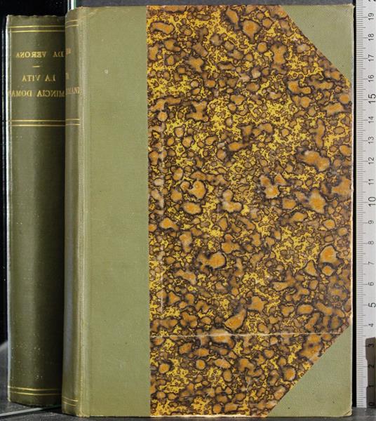 vita comincia domani - Guido Da Verona - copertina