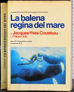 balena regina del mare