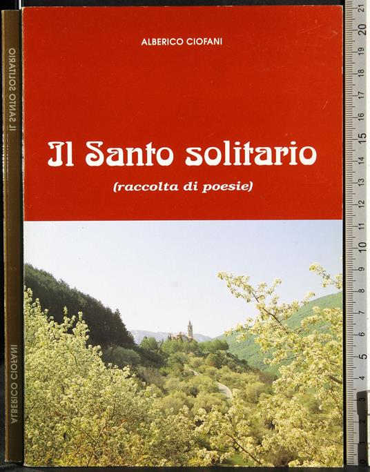 Il santo solitario - copertina