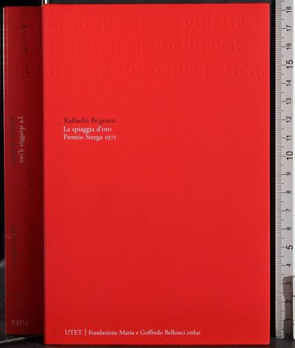 Premio Strega 1971. La spiagia d'oro - Raffaello Brignetti - copertina