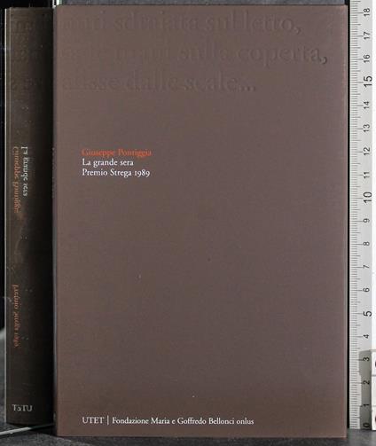 Premio Strega 1989. La grande sera - Giuseppe Pontiggia - copertina