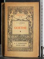 Profili 119. Goethe
