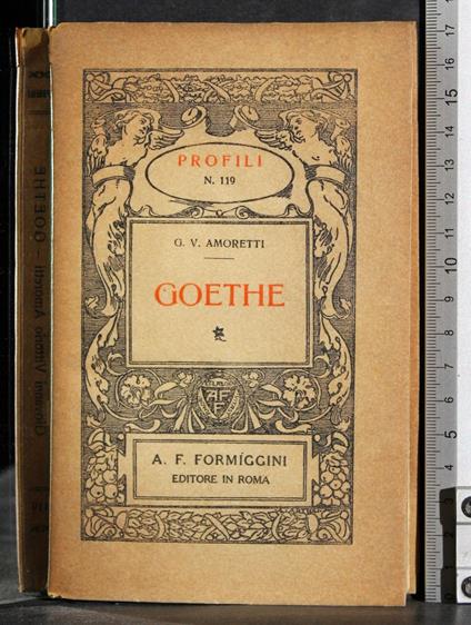 Profili 119. Goethe - Moretti - copertina
