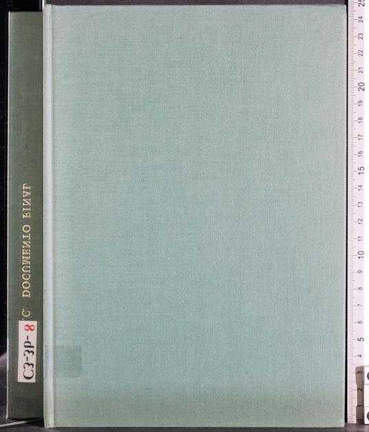 Documento final e instruccion pastoral de los obispos - copertina