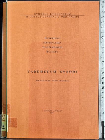 Vademecum synodi - copertina