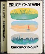 Che ci faccio qui?
