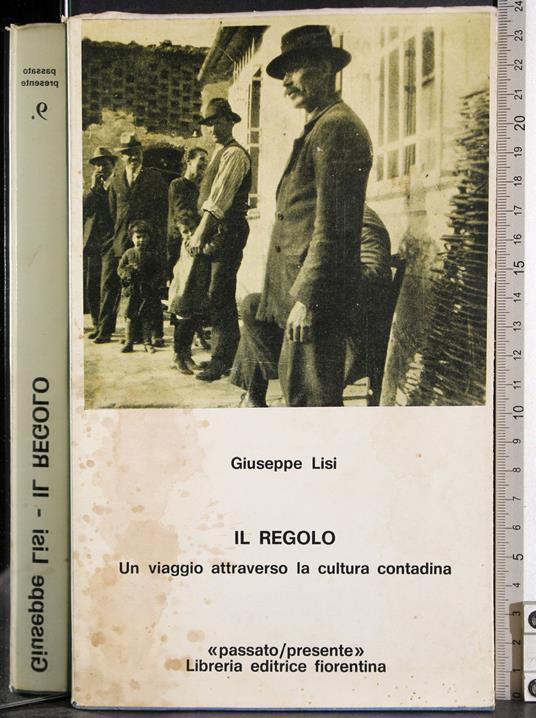Il regolo - Giuseppe Lisi - copertina