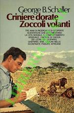 Criniere dorate zoccoli volanti