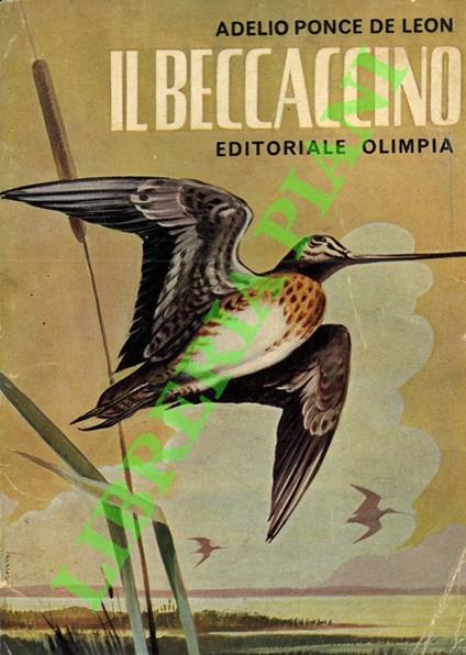 Il beccaccino. - Adelio Ponce de Leon - copertina