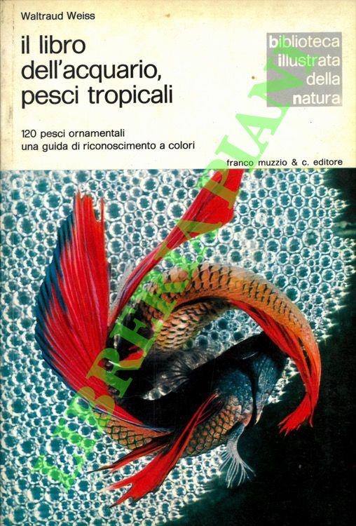 Libreria Piani