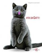 Vita Da Gatti!