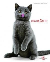 Vita Da Gatti! - copertina