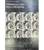 Fenomenologia della religione