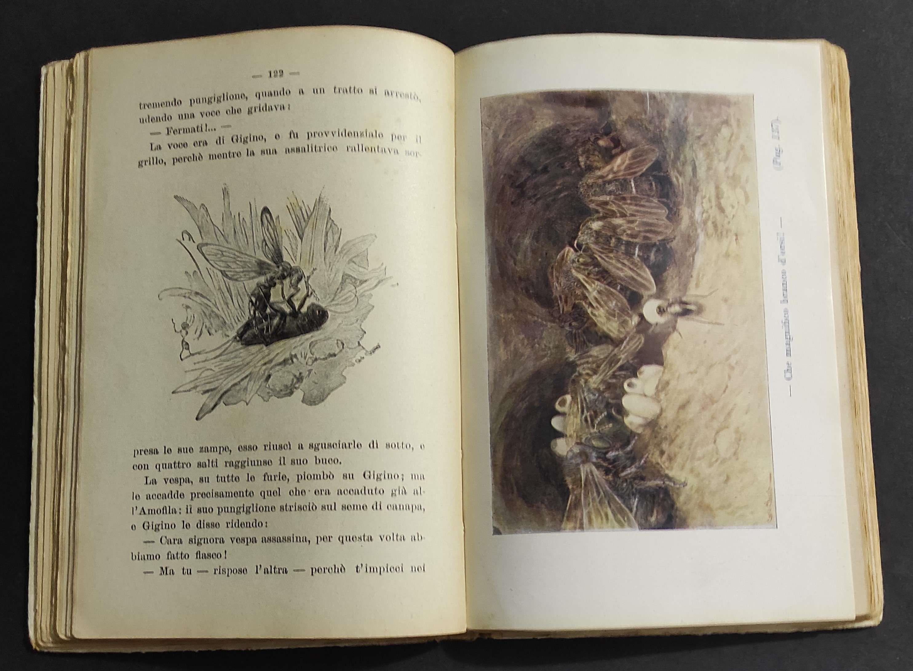 Ciondolino - L. Bertelli - Ed. Bemporad - 1937