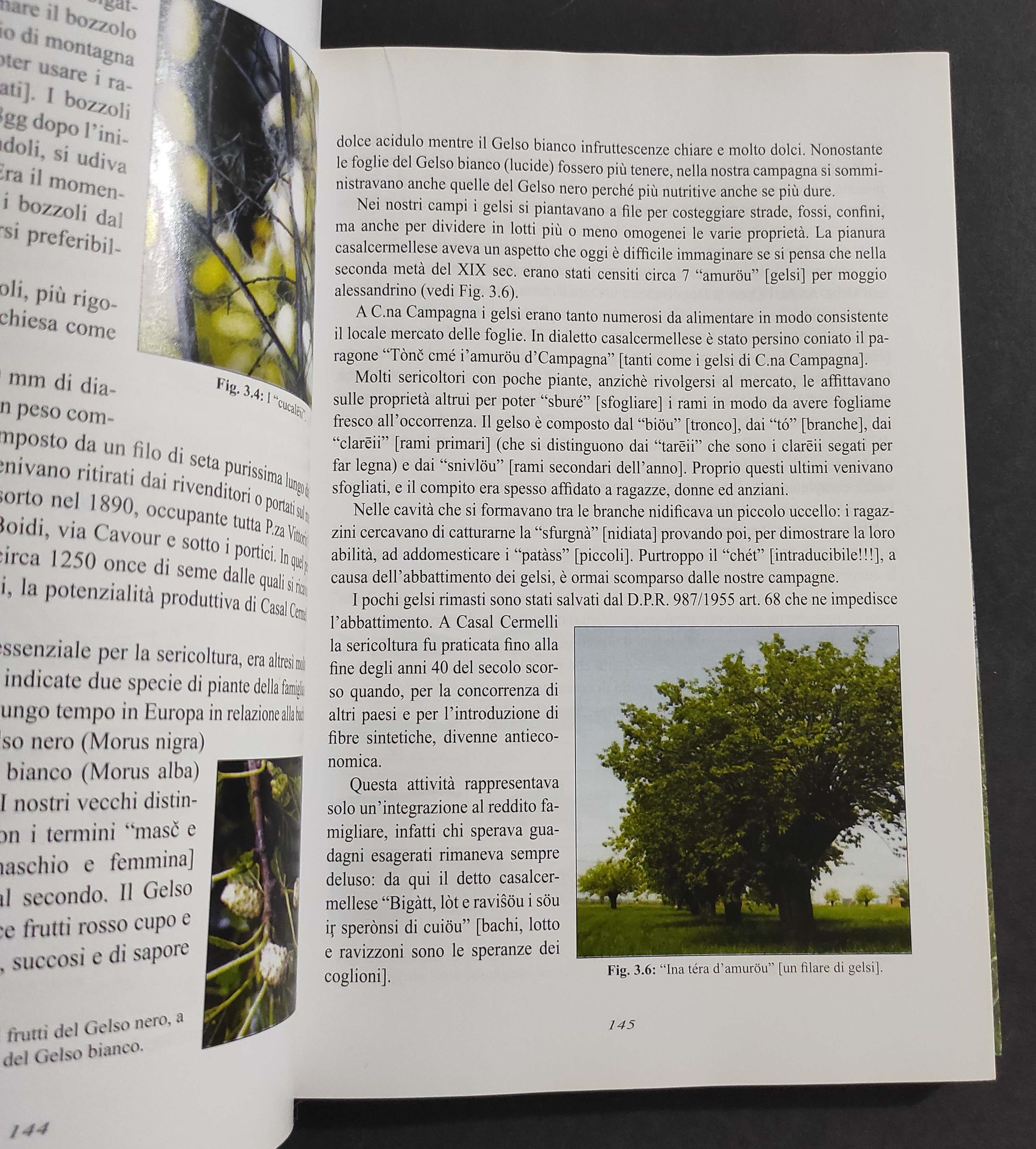 U Spapiàri Dir Casà - D. Cermelli - G. Barco - Ed. Boccassi - 2008