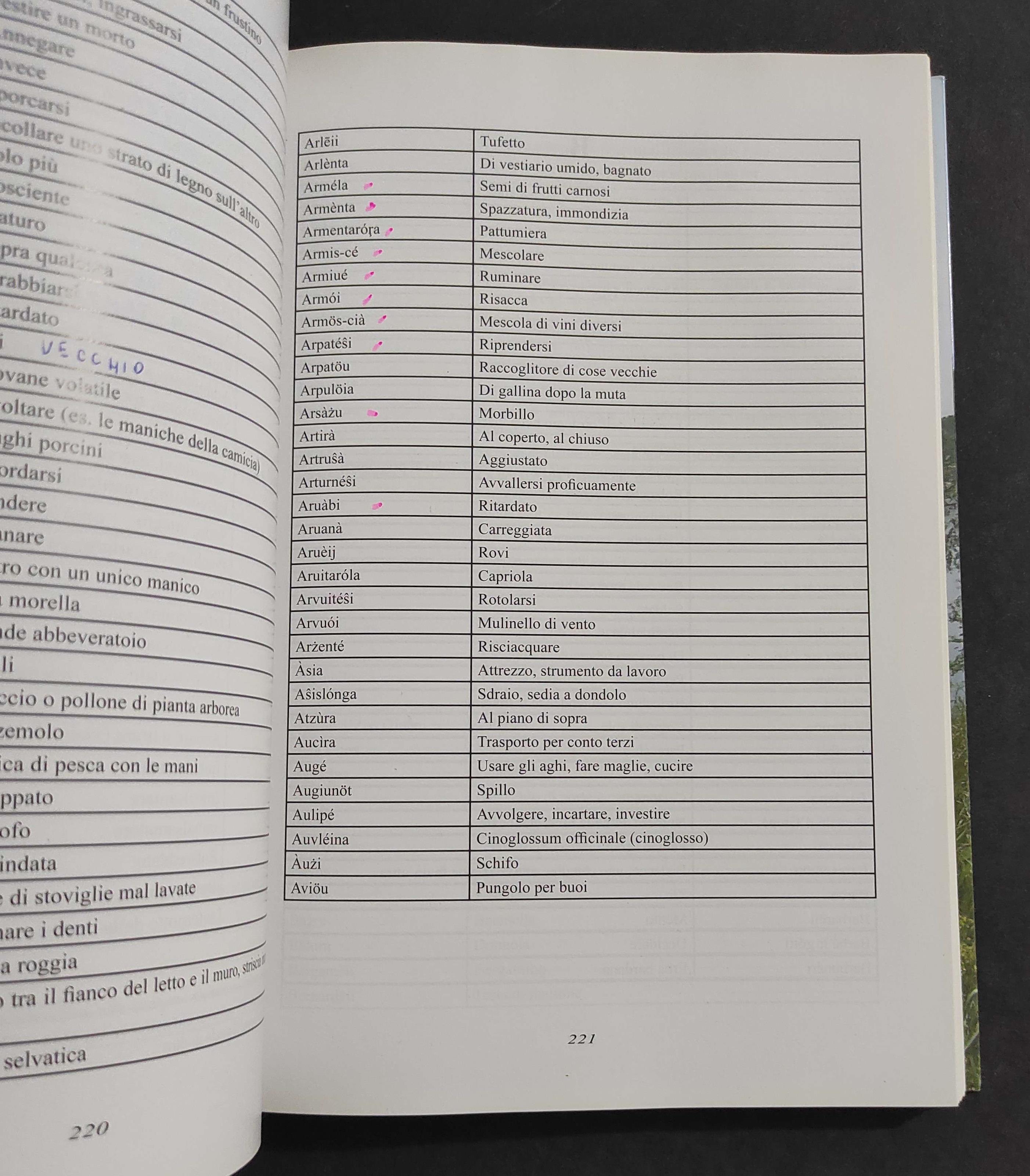 U Spapiàri Dir Casà - D. Cermelli - G. Barco - Ed. Boccassi - 2008