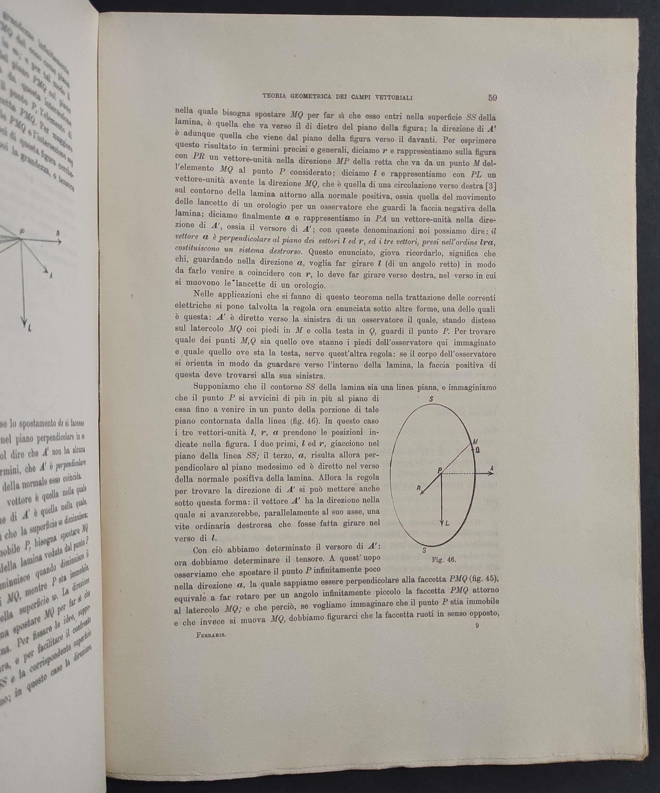 Teoria Geometrica dei Campi Vettoriali - Ed. Clausen - 1897