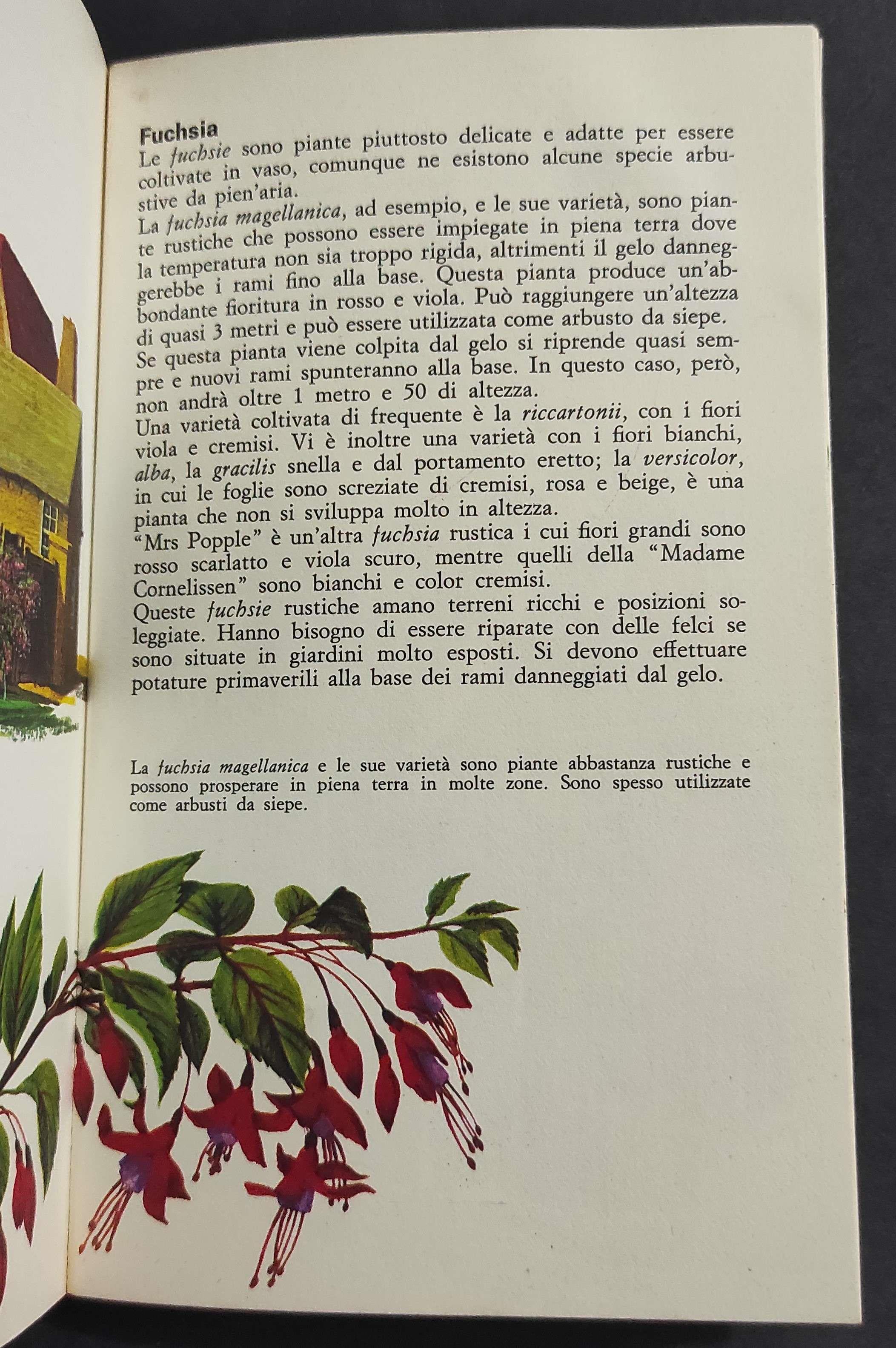Gli Arbusti - P. Hunt - Ed. Mondadori/Colibrì - 1971