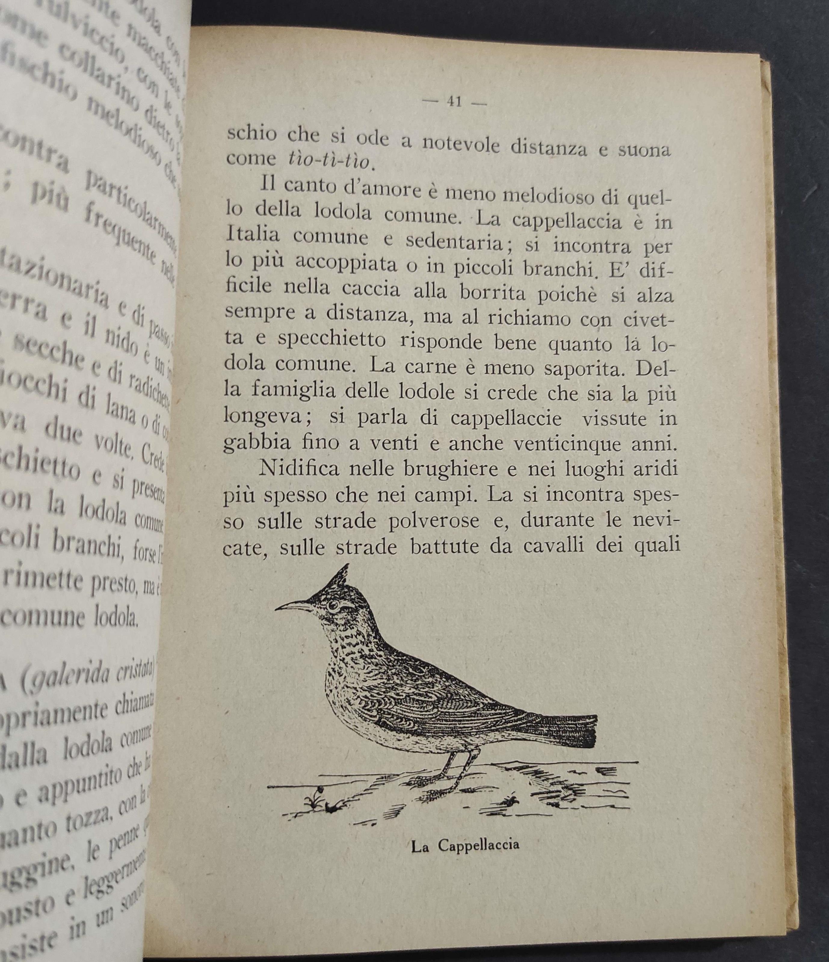 Caccia alla Lodola - O. Trepletti - Ed. Orobiche - 1941