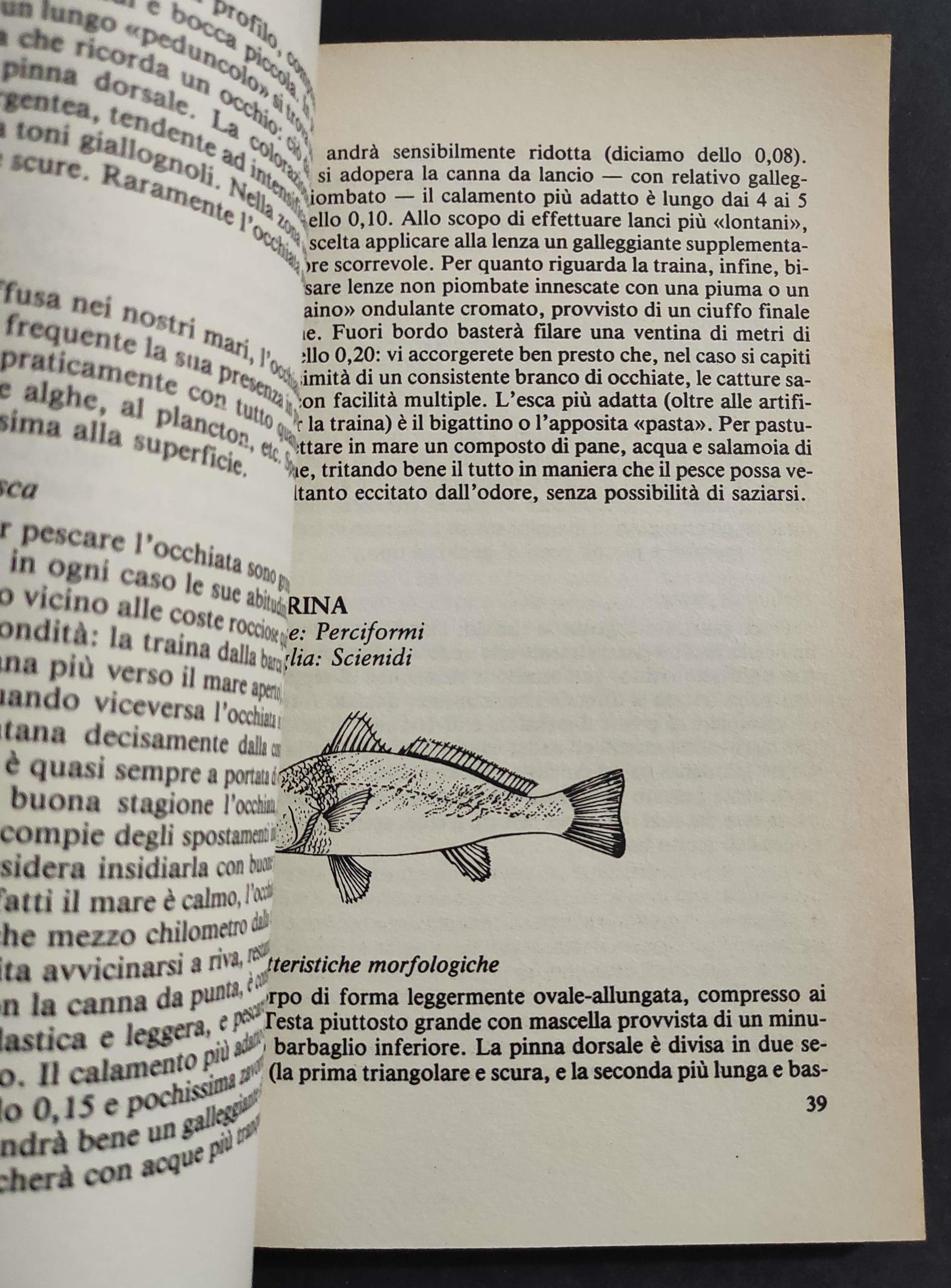 Il Libro della Pesca in Mare - R. Micocci - Ed. S. di Fraia - 1988