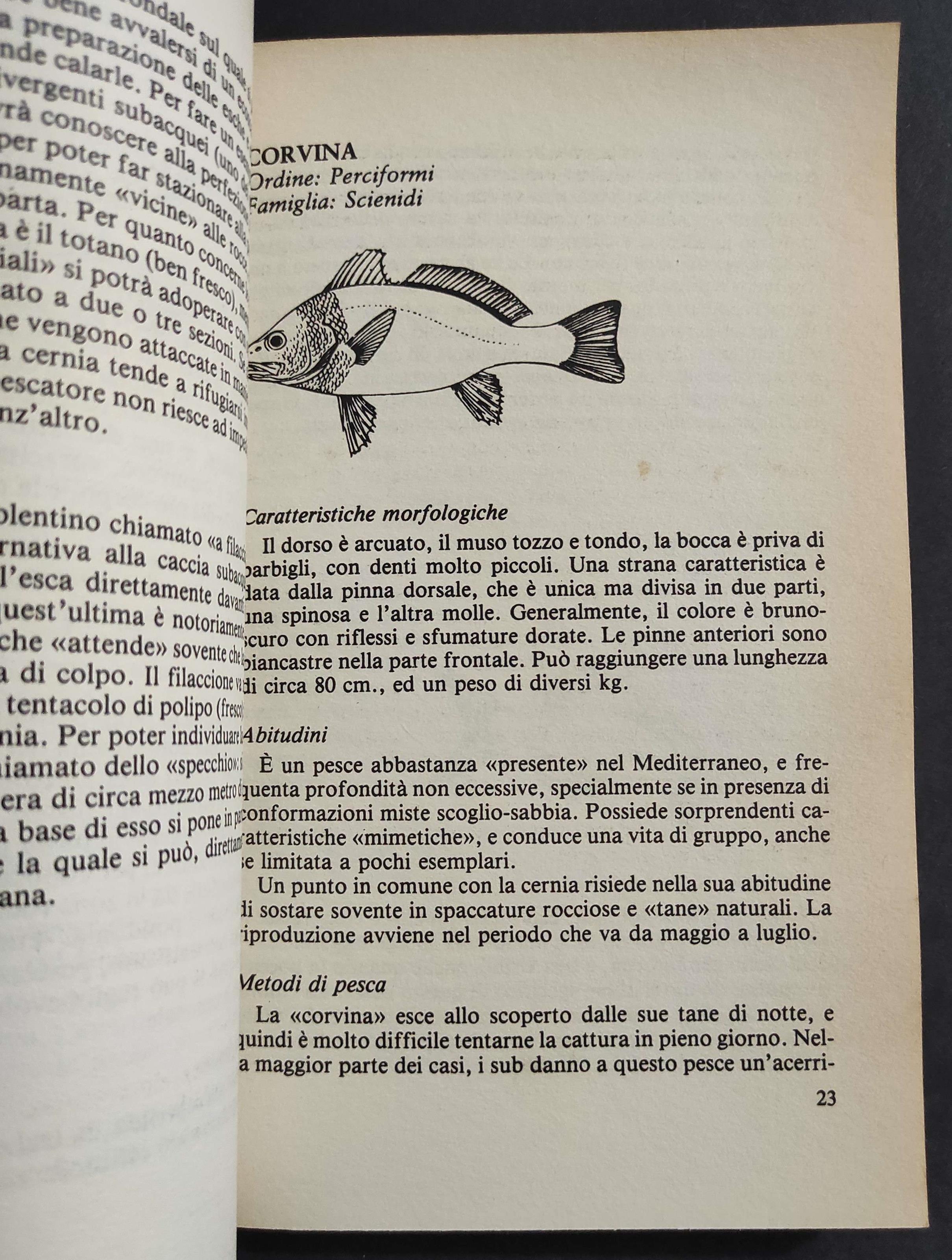 Il Libro della Pesca in Mare - R. Micocci - Ed. S. di Fraia - 1988