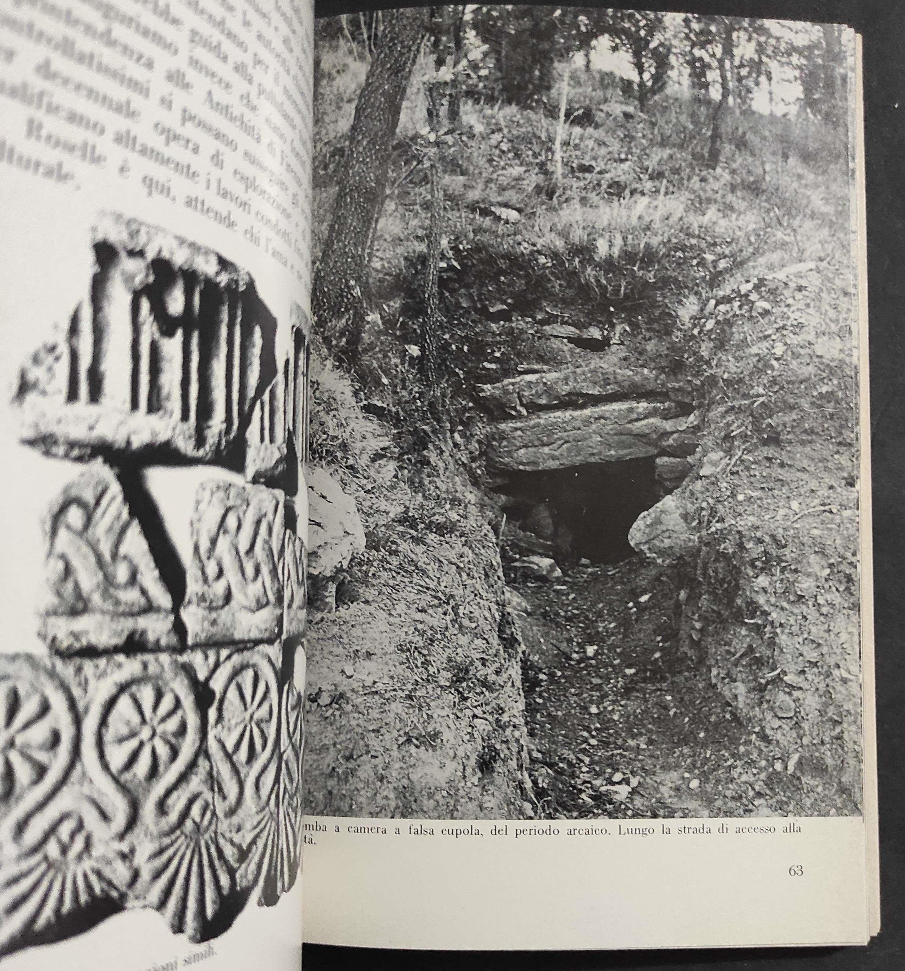 Roselle - Profilo di Una Città Etrusca - V. Melani - M. Vergari - Ed. Tellini - 1974