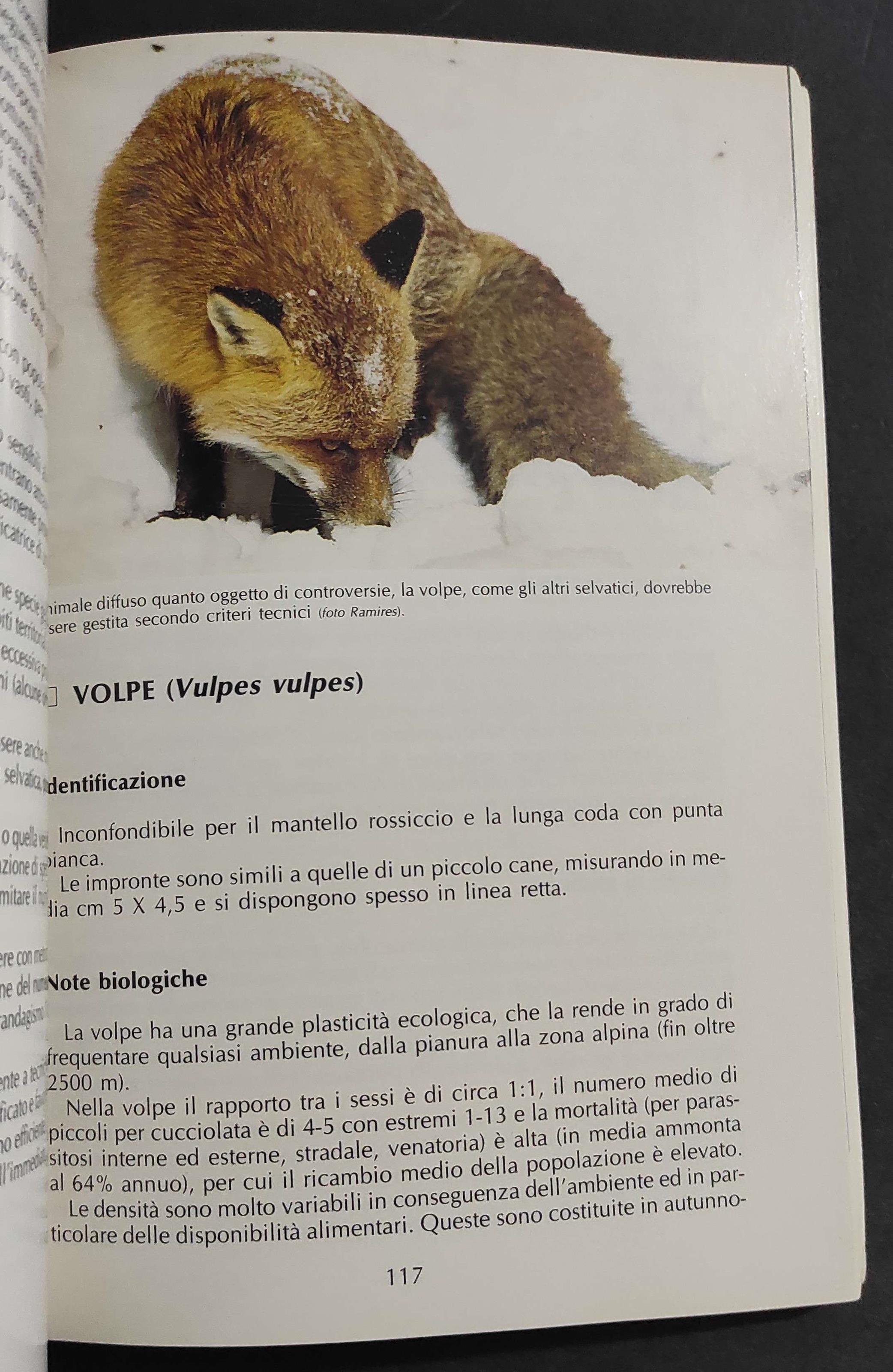 Piemonte - Gestione Faunistica e Legislazione - P. P. Mussa - Ed. EDA - 1990