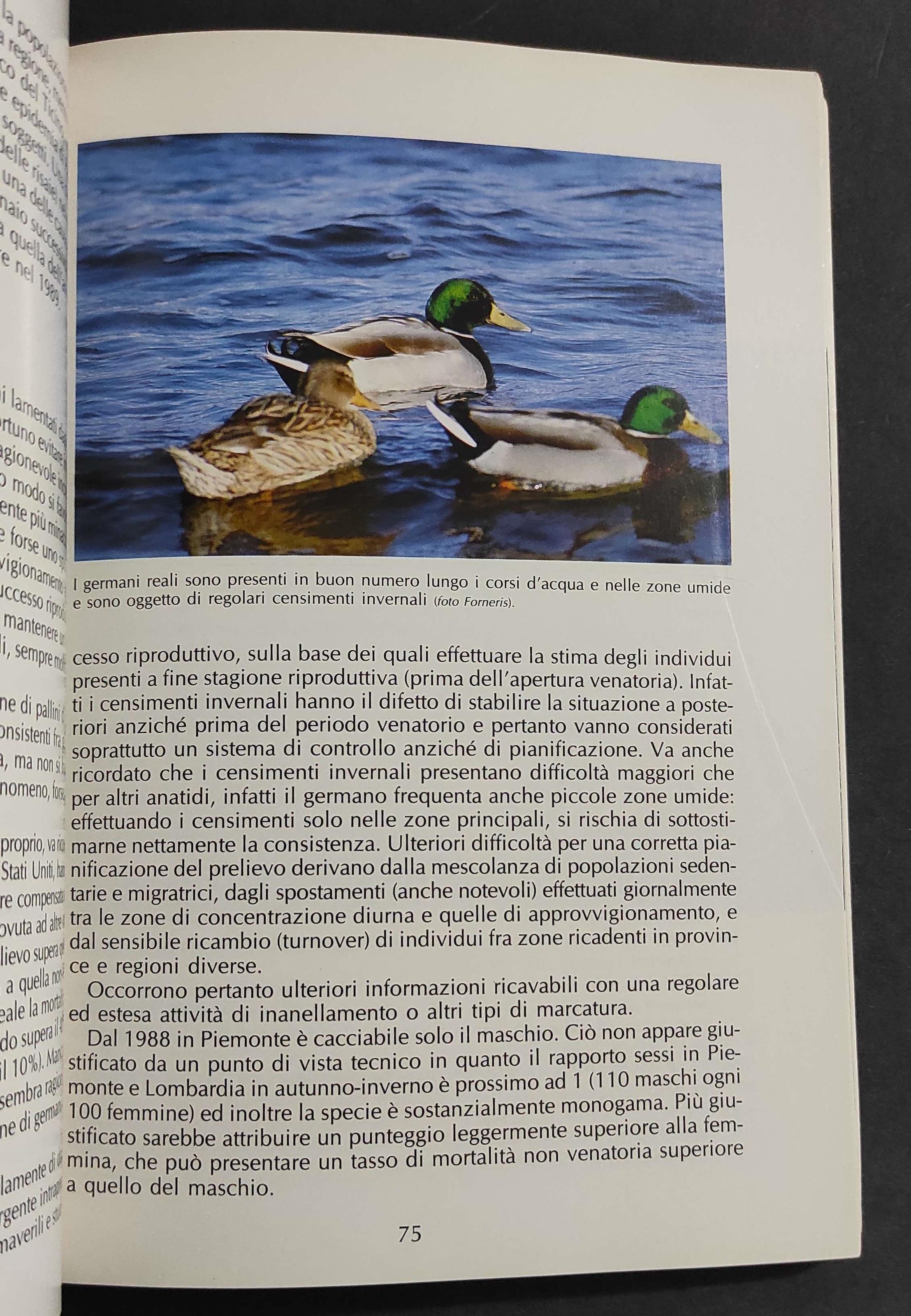 Piemonte - Gestione Faunistica e Legislazione - P. P. Mussa - Ed. EDA - 1990