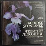 Orchidee Spontanee in Trentino Alto Adige - G. Perazza - Ed. Manfrini - 1992