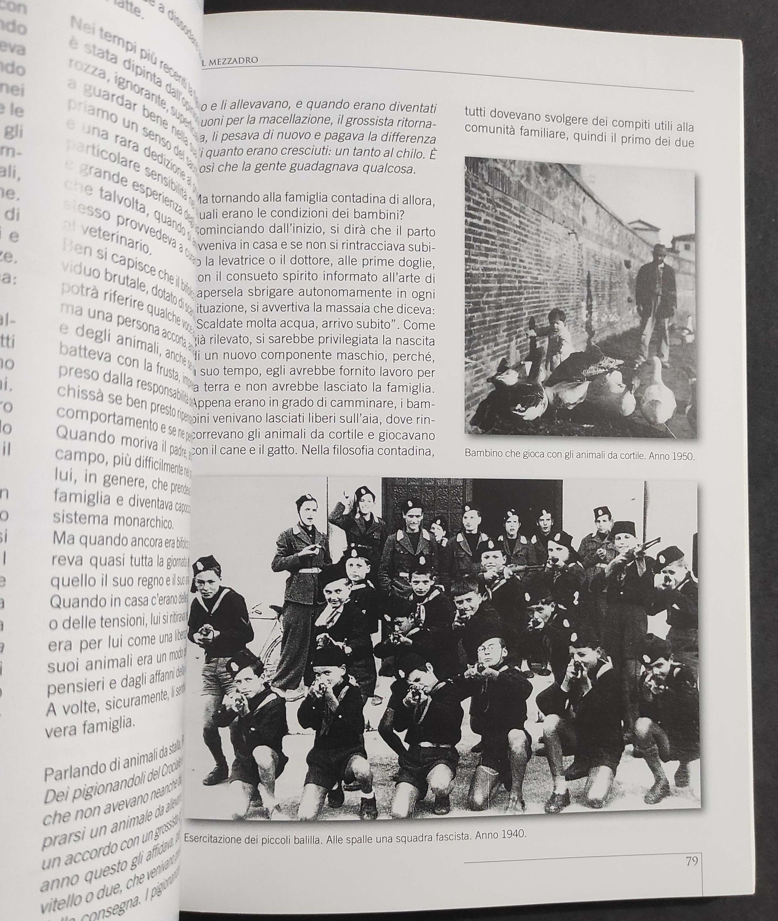 Passato Nostro - M. Borghini - Ed. Pacini - 2007 - Ponte Buggianese