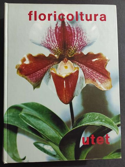 Floricoltura - O. Masera - Ed. UTET - 1970 - Onorato Masera - copertina
