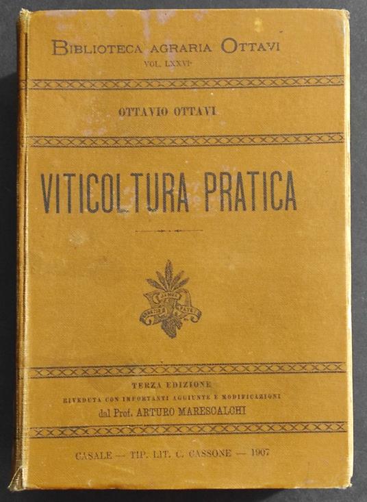 Viticoltura Pratica - O. Ottavi -  Tip. Cassone - 1907 - copertina