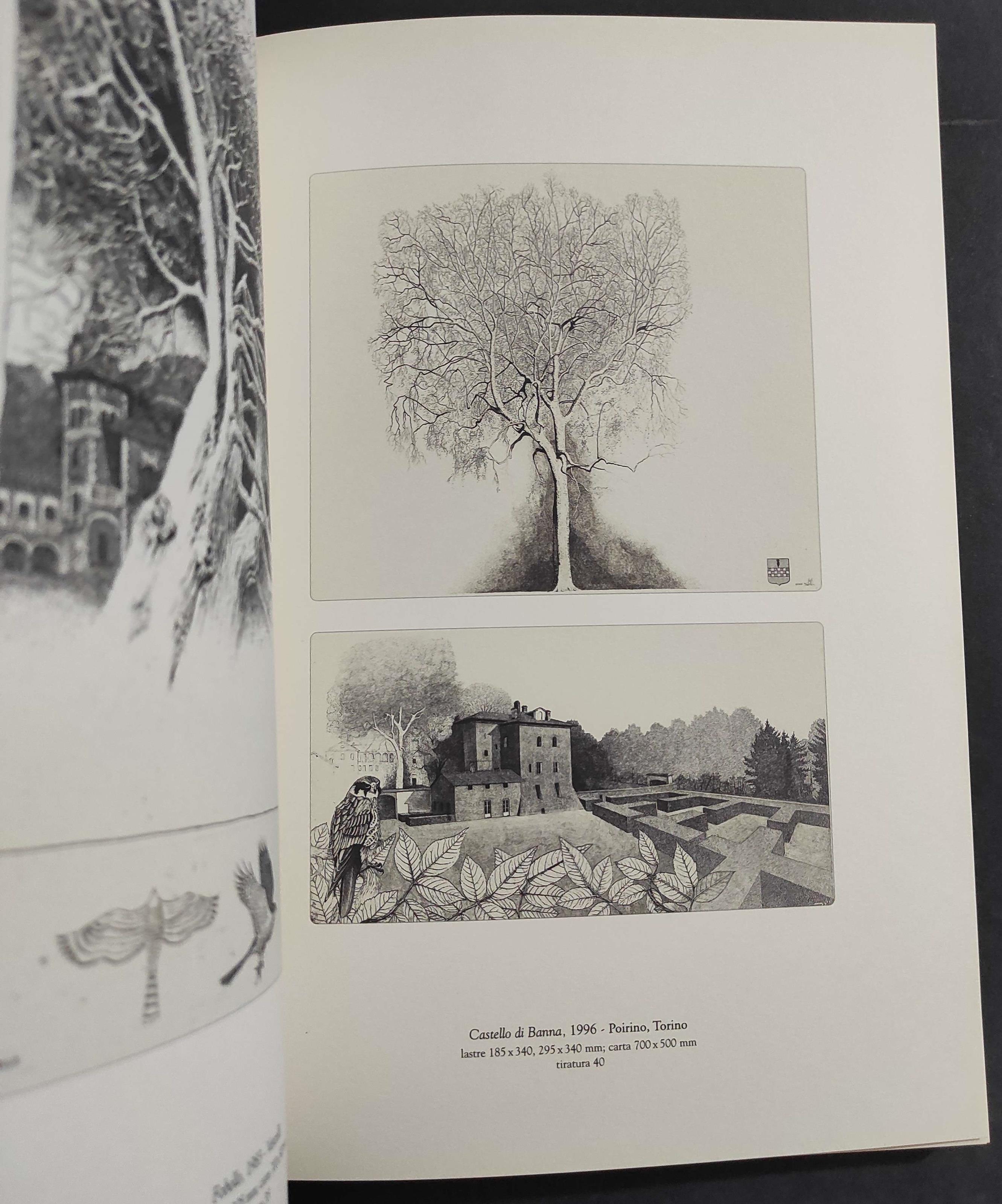 Xavier De Maistre - La Natura Incisa - P. Levi - Museo Regionale Torino - 2004