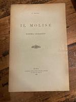Il Molise. Schema geologico. Estratto dal Bollettino della Società Geologica Italiana Vol. XXVII (1908), Fase IV