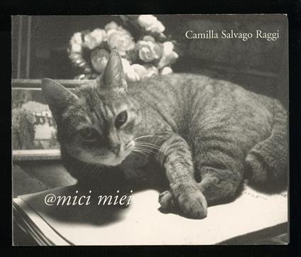 Amici miei - Camilla Salvago Raggi - copertina