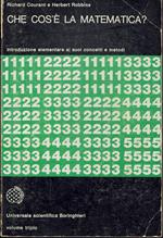 Che cos'è la Matematica? - Introduzione elementare ai suoi concetti e metodi