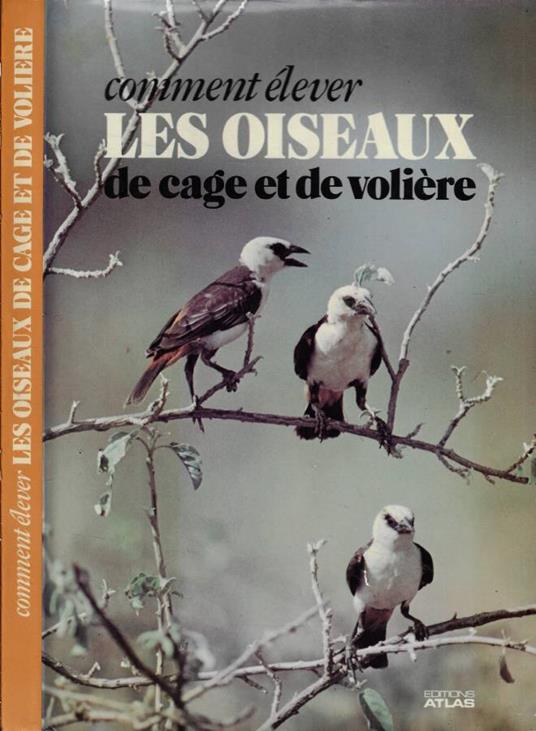 Comment élever Les oiseaux de cage et de volière - copertina