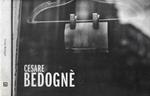 Cesare Bedognè