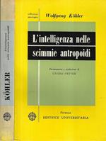 L' intelligenza nelle scimmie antropoidi