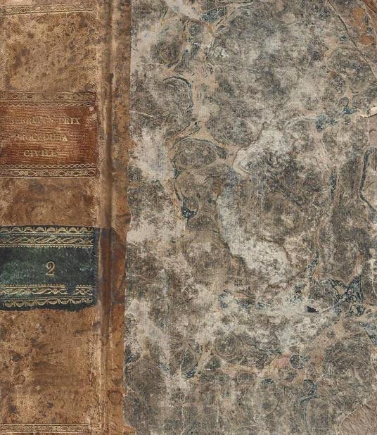 Corso di procedura civile ad uso della facoltà di diritto di Parigi. Tomo II - copertina