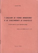 I calcari di Torre Minervino e le calcareniti di Badisco