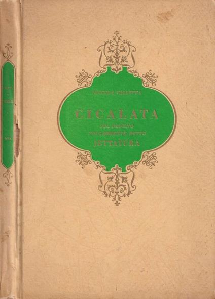 Cicalata - copertina