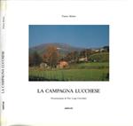 La campagna lucchese