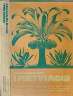 I miei viaggi