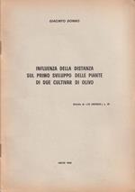 Influenza della distanza sul primo sviluppo delle piante di due cultivar di olivo
